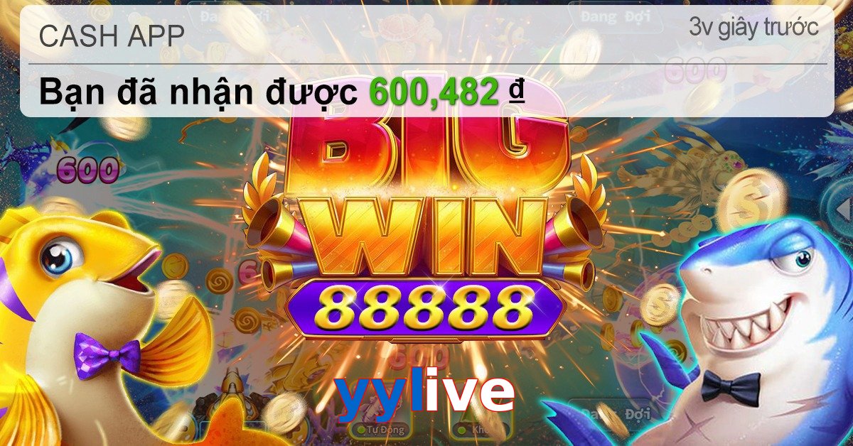 yylive